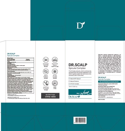 Image Of Carton (Spicule Carton)